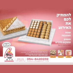 מיזם חדש (3)